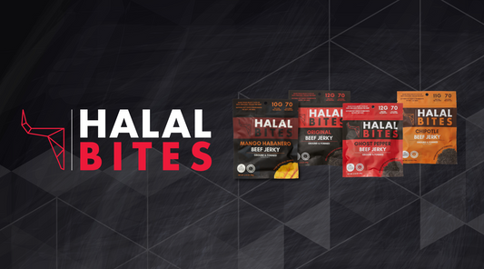 Why Beef Jerky Is a Healthy Snack Option And How HALAL BITES Raises the Bar!